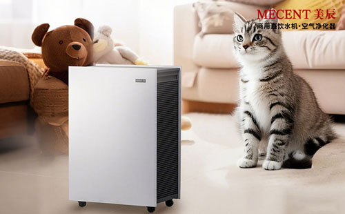 寵物家庭除味攻略：活性炭濾網(wǎng)真的能搞定寵物異味嗎？